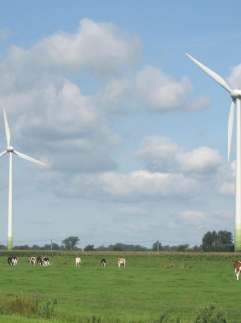 Het tweede leven van een windmolenblad: circulaire innovatie bij Blade-Made