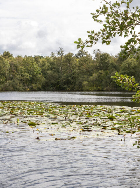 Milieu, Natuur & Klimaat