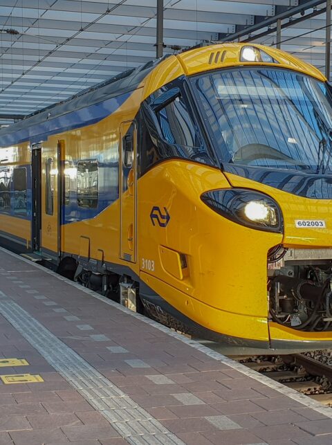 Spoor