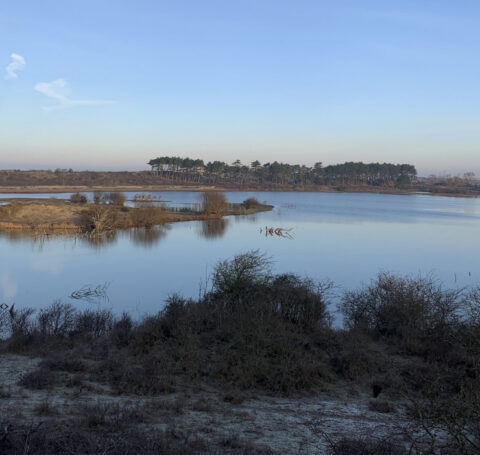 Druktemonitor duingebieden Noord-Holland