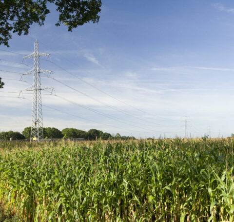 Nieuwe 380kV-hoogspanningsverbinding Diemen-Lelystad-Ens