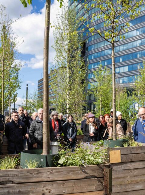 Bomenbal Utrecht feestelijk geopend in stationsgebied