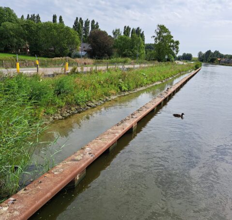 Oeververvanging Delftse Schie