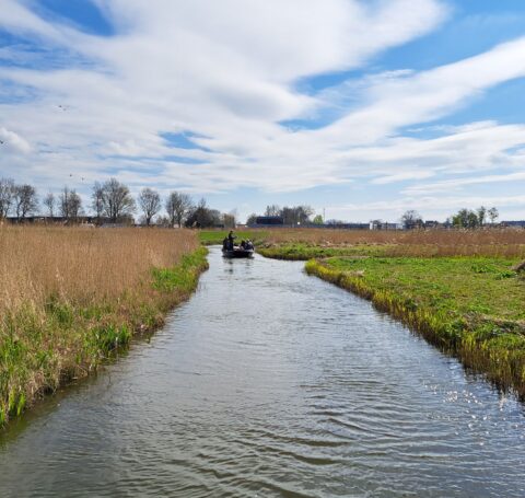 Plan voor toekomstbestendig natuurgebied Oosterdel