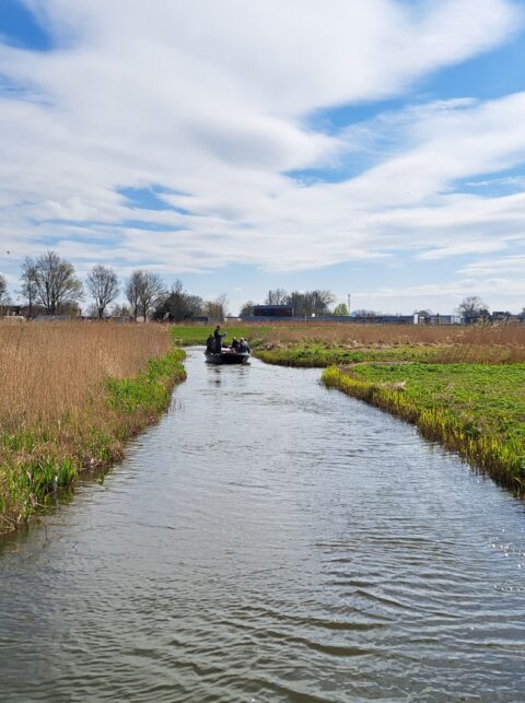 Waterbeheer