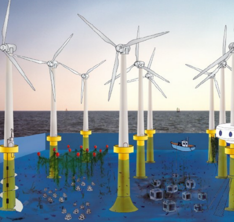Onderzoek scheepvaartveiligheid en medegebruik in windparken