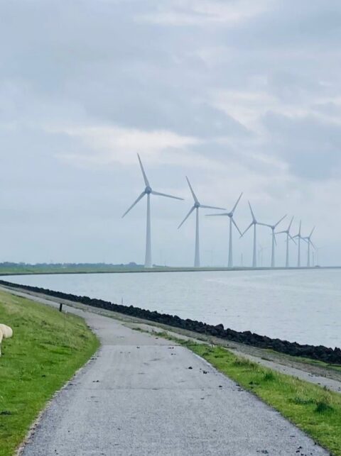 Ambities Port of Urk krijgen vorm in visie van Movares