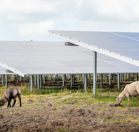 Zonnepark Leeksterveld