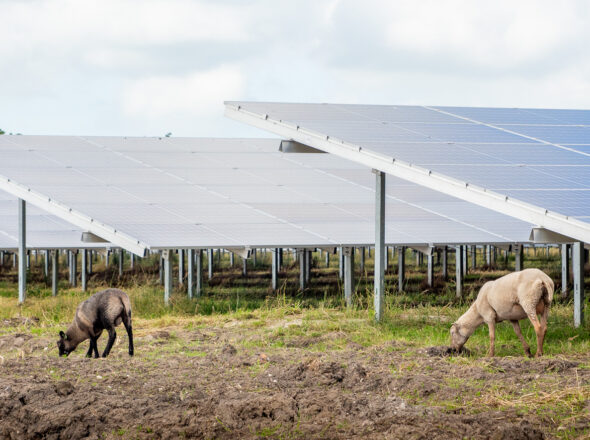 Zonnepark Leeksterveld