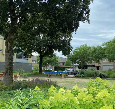 Omgevingsplan Veldhoven