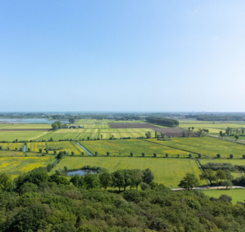 Gebiedsontwikkeling Golfbad Oss