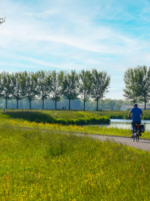 Actieve Mobiliteit